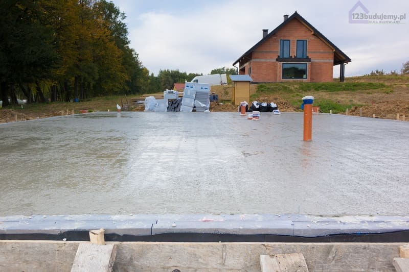 piwnica za i przeciw