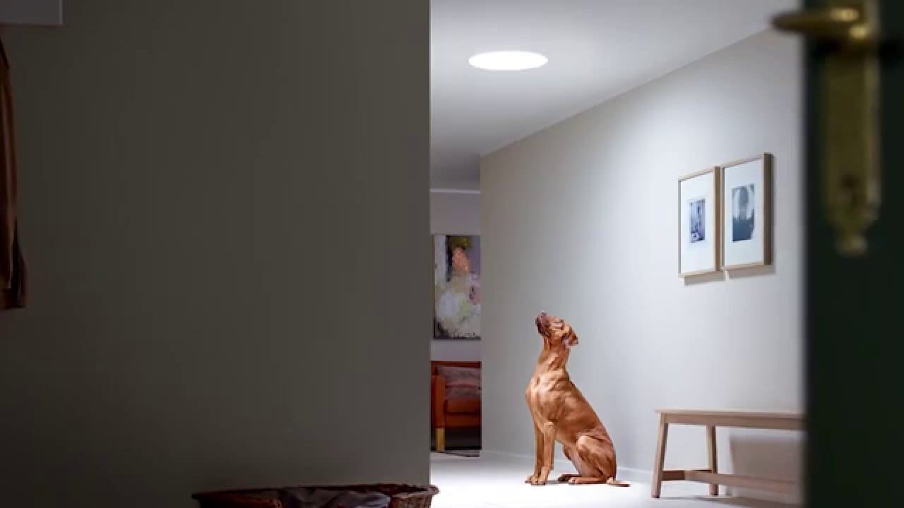 Świetlik tunelowy VELUX