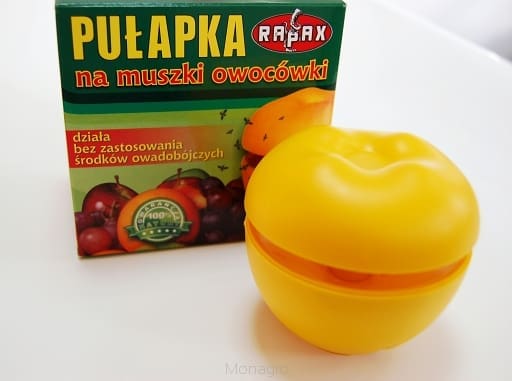 pułapka na muszki owocówki